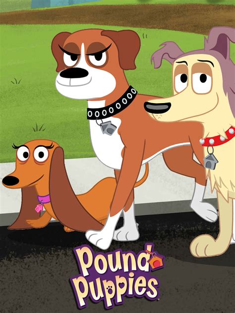 poundwatch|watch pound puppies tv.